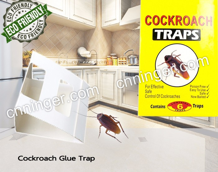 Cockroach Glue Trap NRTG011 HINGER Pest Control Industrial