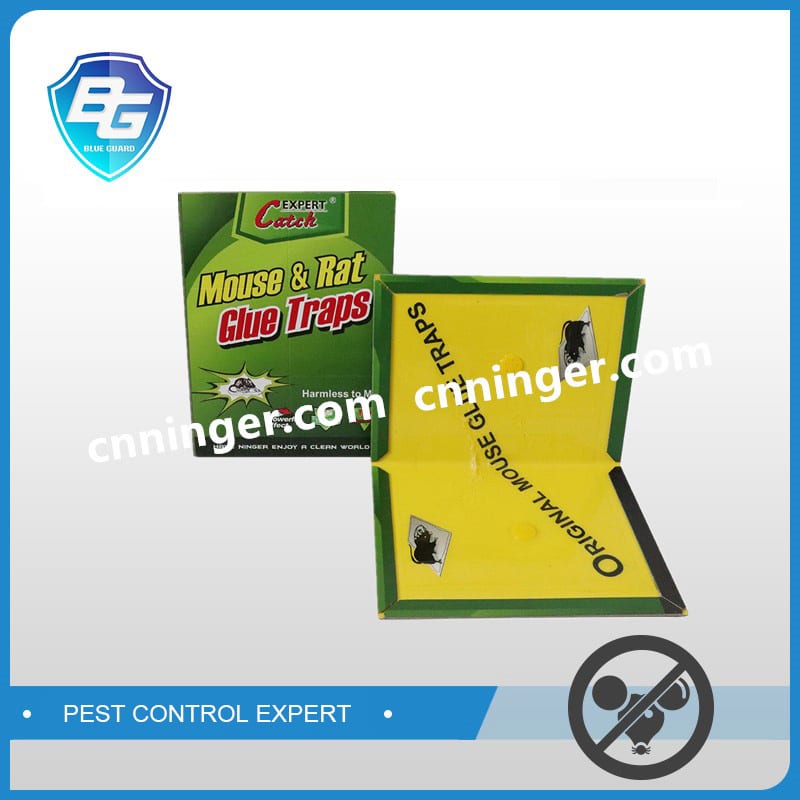 mouse glue trap supplierp supplier