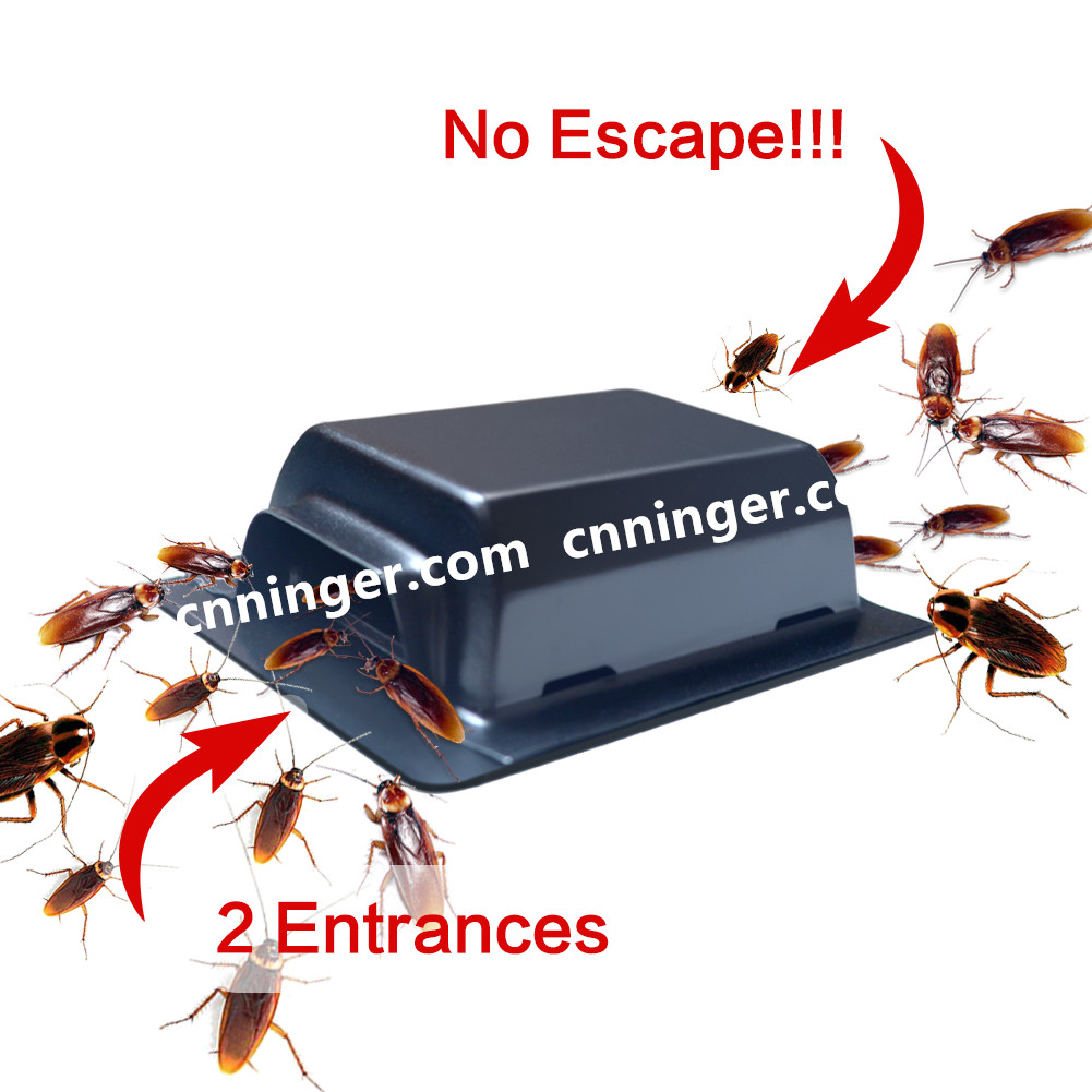 Roach motel