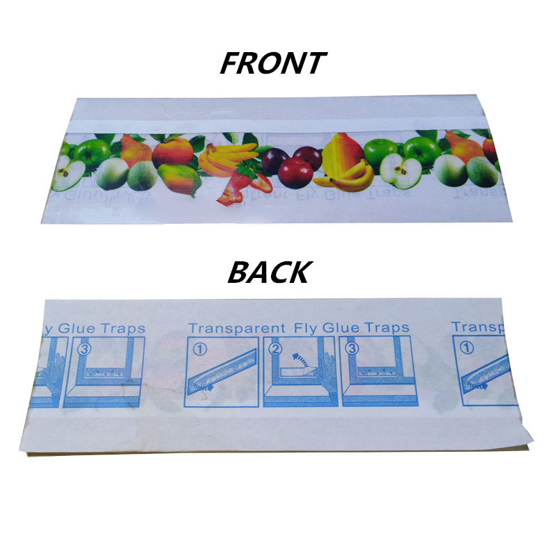 window fly glue traps