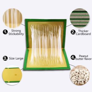 peanut smell mouse glue board
