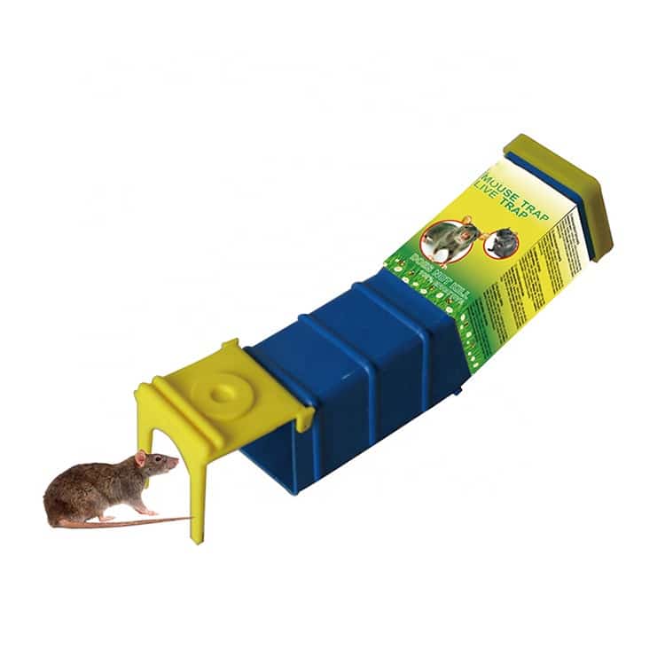 live mouse trap
