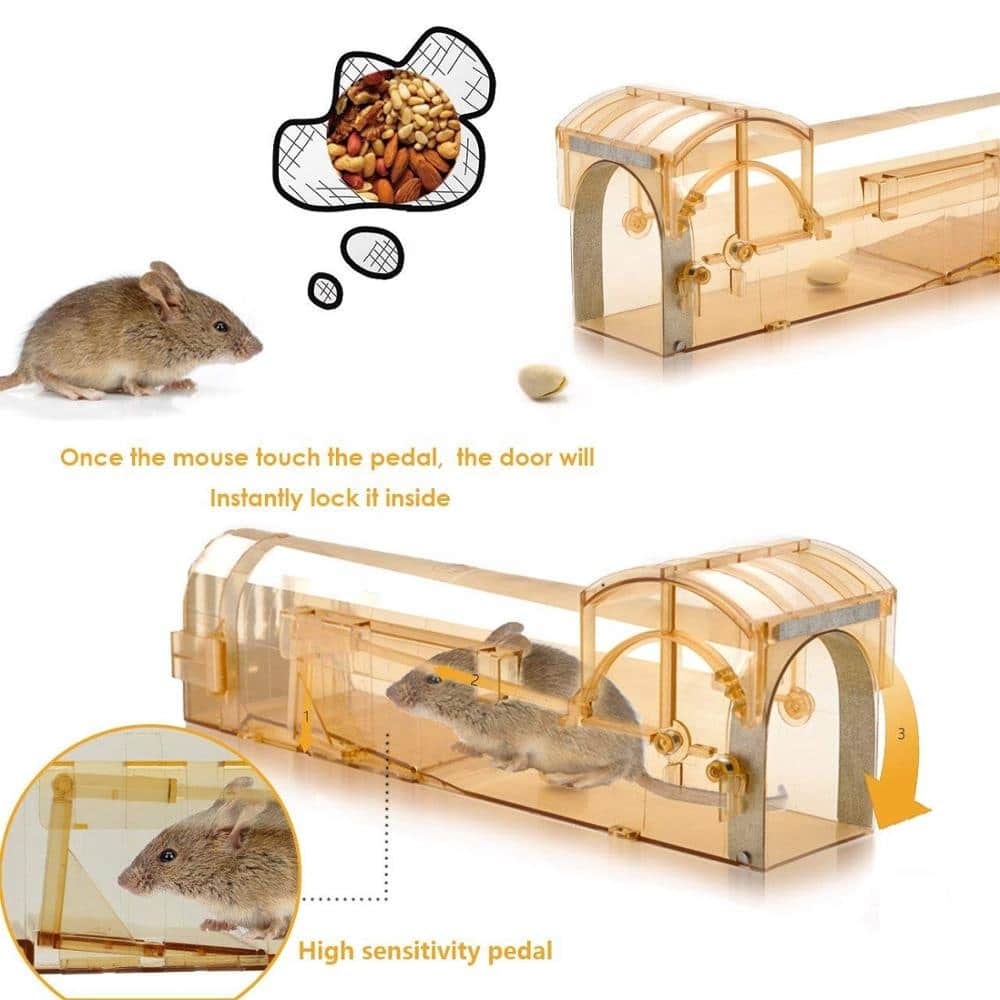 live mouse trap