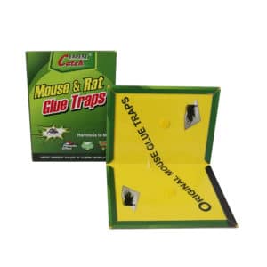 mouse glue book